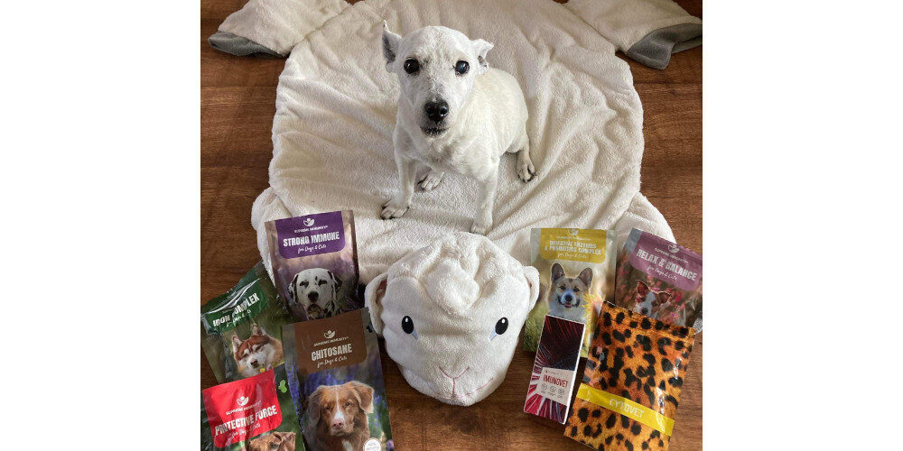 IMG_0030 kutya nyelvrák