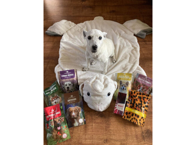 IMG_0030 kutya nyelvrák