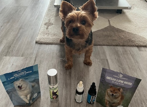 IMG_2860 gerinc probléma