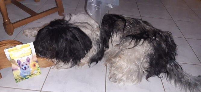 20240211_065604 probiotikum