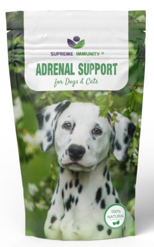 MELLÉKVESE TÁMOGATÓ