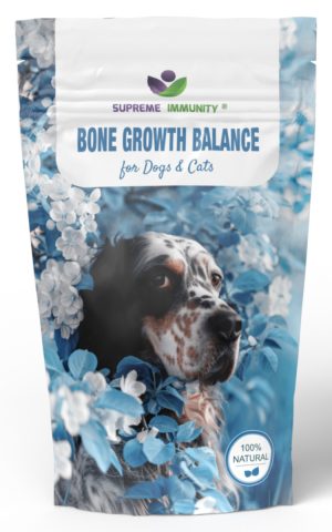 Csontképzés Támogató