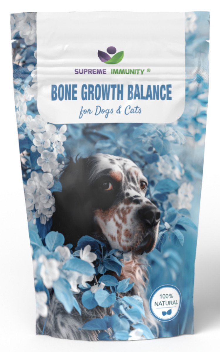 Csontképzés Támogató